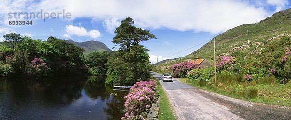 Connemara  Irland