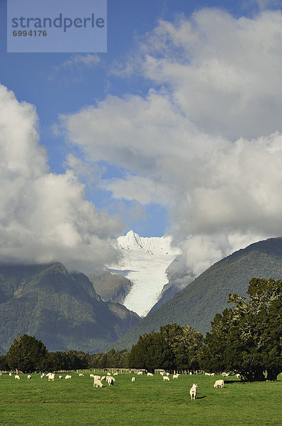 neuseeländische Südinsel  Neuseeland  Westküste