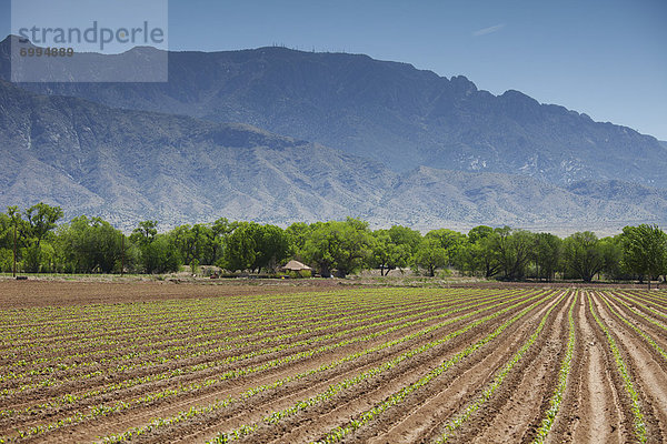 Vereinigte Staaten von Amerika  USA  Albuquerque  New Mexico