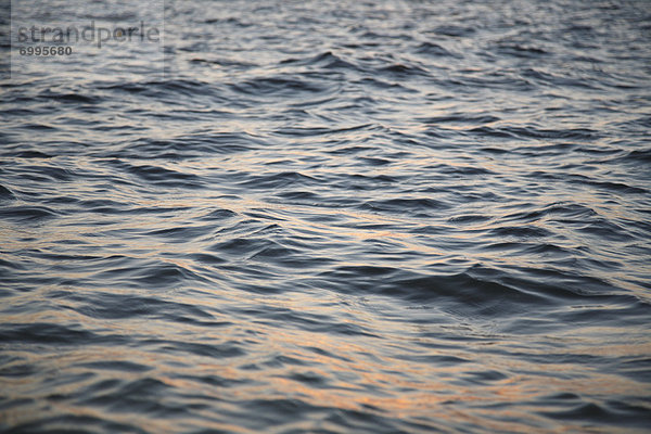 Wasser  Sonnenuntergang  Close-up  close-ups  close up  close ups