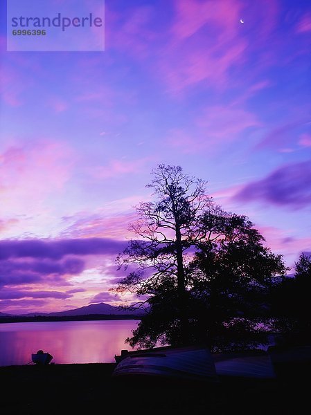 Lough Leane  Irland  Killarney