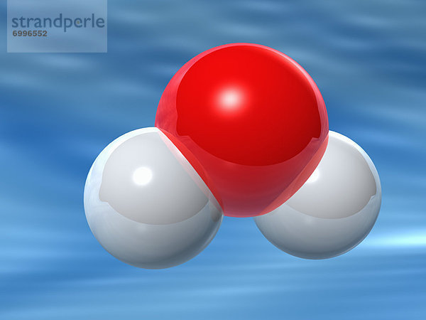 Water Molecule