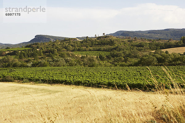 Ländliches Motiv  ländliche Motive  Frankreich  Aude  Languedoc-Roussillon