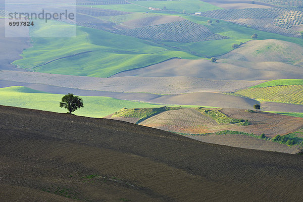 nahe  Ländliches Motiv  ländliche Motive  Landschaft  Ansicht  Luftbild  Fernsehantenne  Andalusien  Ronda  Spanien