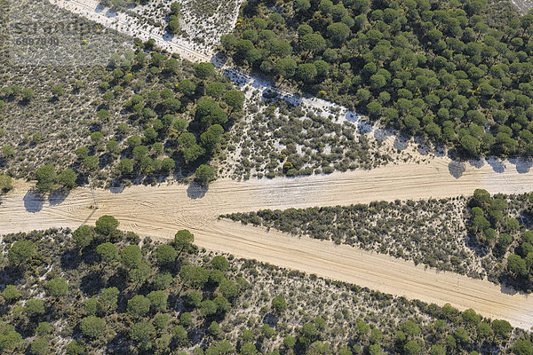 Fernverkehrsstraße  Wald  Sand  Kiefer  Pinus sylvestris  Kiefern  Föhren  Pinie  Ansicht  Provinz Huelva  Luftbild  Fernsehantenne  Andalusien  Spanien
