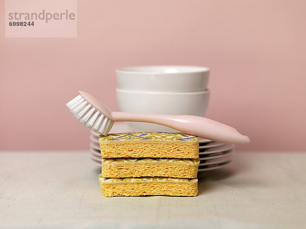 Sponges  Scrub Brush and Dishes