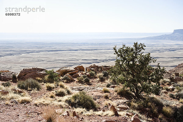 Vereinigte Staaten von Amerika  USA  Wüste  Bundesstraße  Arizona  Ansicht  Navajo