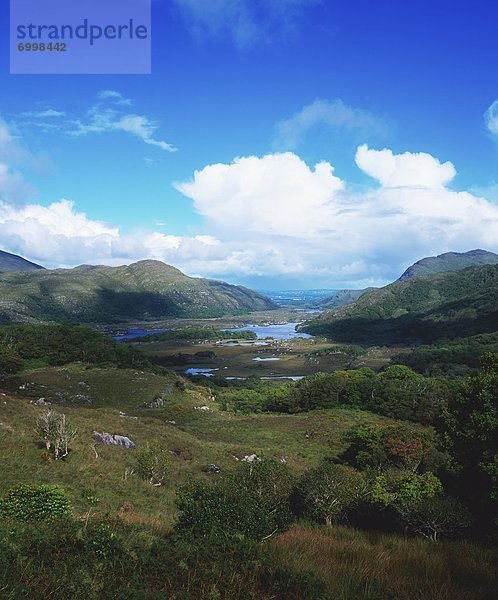 Kerry County  Killarney Nationalpark  Irland