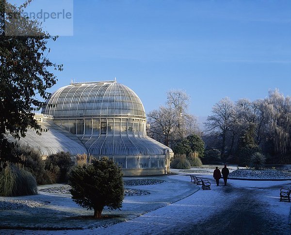 Belfast Hauptstadt Garten Botanik Schnee