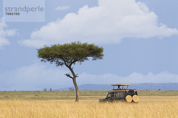 Masai Mara National Reserve  Kenia