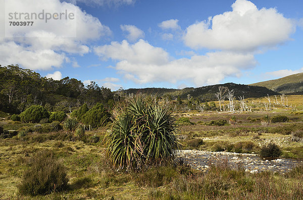 Berg  See  Wiege  Australien  Tasmanien