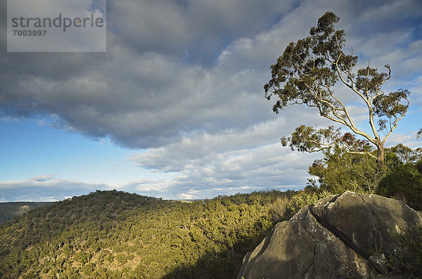 Australien  New South Wales