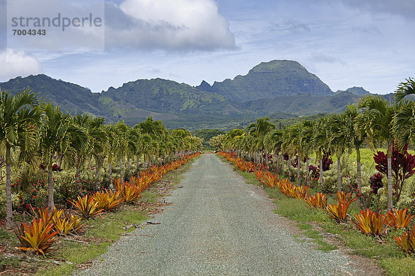 Vereinigte Staaten von Amerika  USA  Fahrweg  Hawaii  Kauai