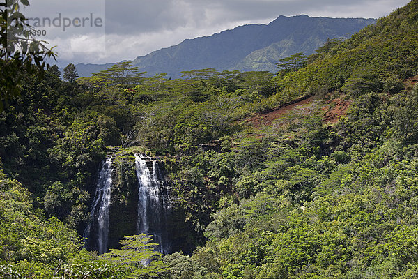 Opaekaa Falls Wasserfälle  Kauai  Hawaii  USA