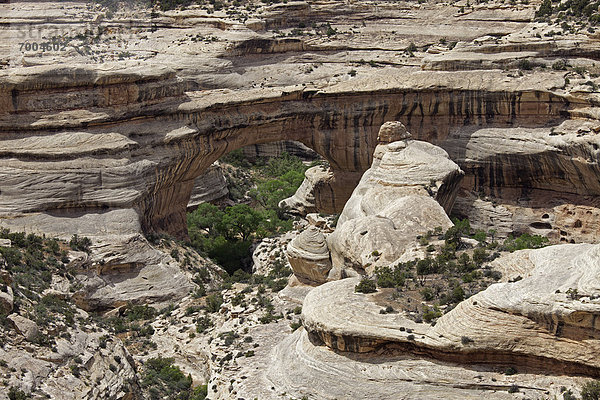 Vereinigte Staaten von Amerika  USA  Natural Bridges National Monument  Utah