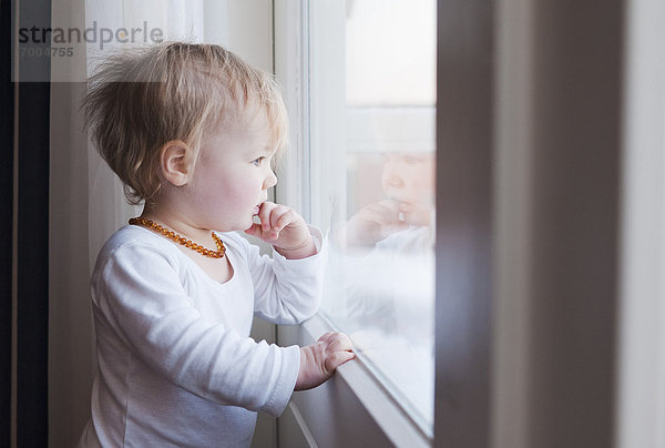 Portrait  Fenster  hinaussehen  Mädchen  Baby