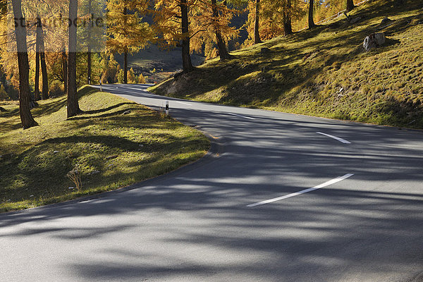 Fernverkehrsstraße Schweiz