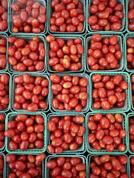 Kirsche  Landwirtin  Tomate  Kanada  Markt  Ontario