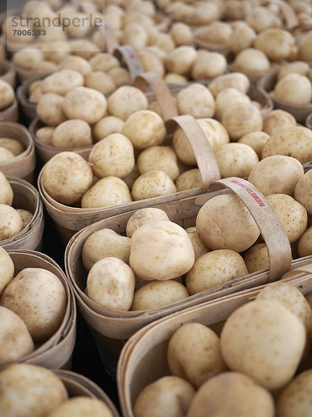 Kartoffel  Landwirtin  Kanada  Markt  Ontario