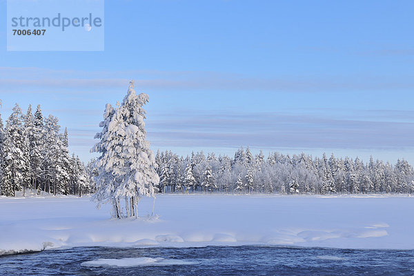bedecken  Baum  Fluss  Finnland  Schnee
