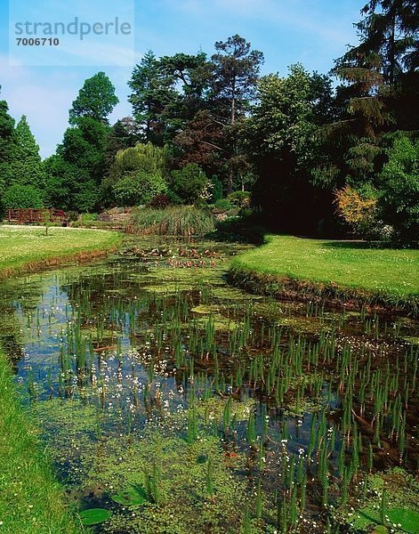 Dublin Hauptstadt Garten Botanik Irland irisch