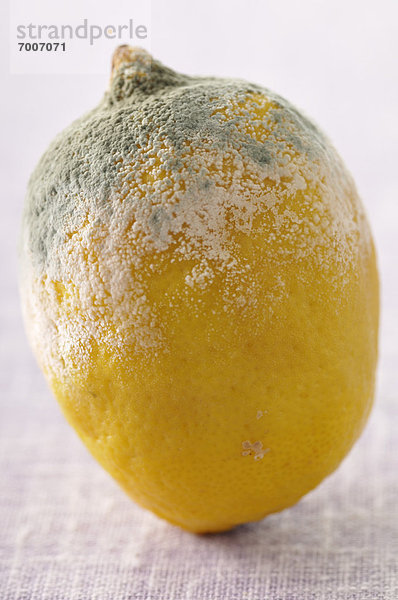 Close-up  close-ups  close up  close ups  Zitrusfrucht  Zitrone