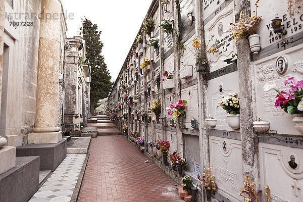 Friedhof  Cinque Terre  Italien  Monterosso al Mare