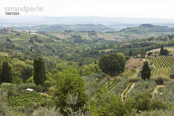 Italien  San Gimignano  Toskana