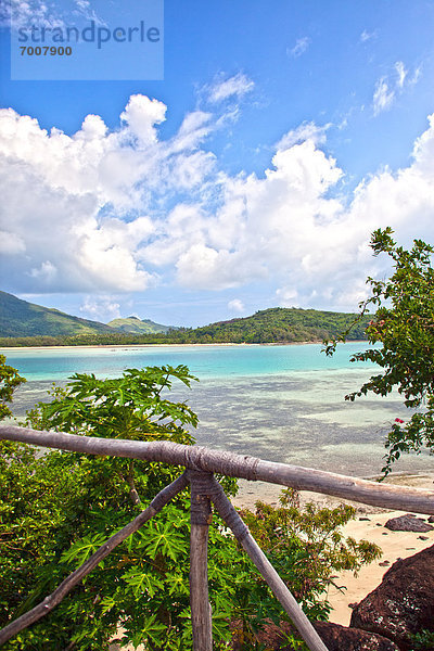 Tropisch Tropen subtropisch Strand Insel Ansicht