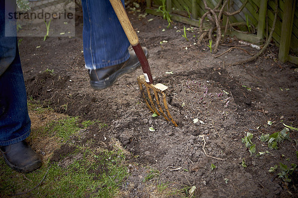 Gardener tilling Soil with Pitchfork  Toronto  Ontario  Canada