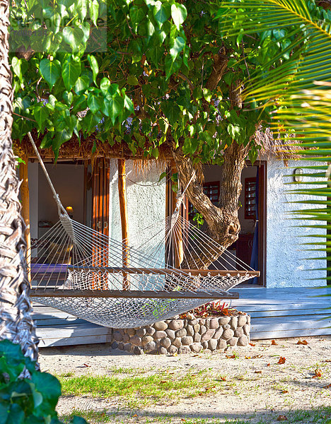 Tropisch Tropen subtropisch Hängematte Insel Urlaub Bungalow