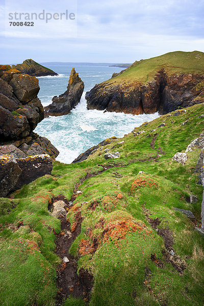 Weg  Steilküste  Meer  vorwärts  Wiese  Cornwall  England