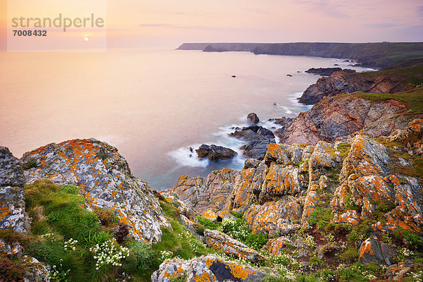 Felsen  Steilküste  Küste  zeigen  Cornwall  England  Echse