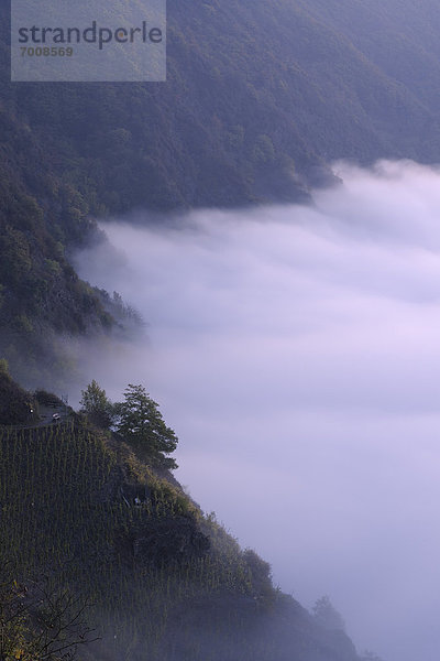 Nebel  Cochem-Zell  Deutschland  Rheinland-Pfalz