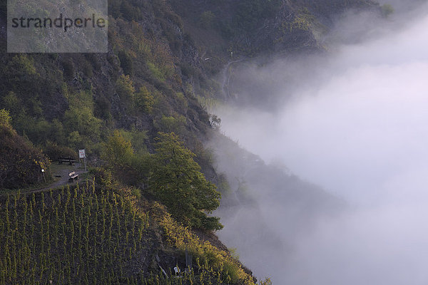 Nebel  Cochem-Zell  Deutschland  Rheinland-Pfalz