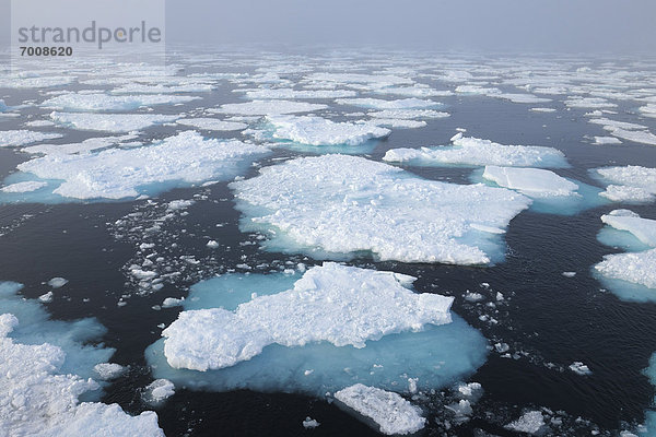 Eisscholle  Grönland  Arktis  Nordpolarmeer  Nördliches Eismeer  Arktik  Arktischer Ozean
