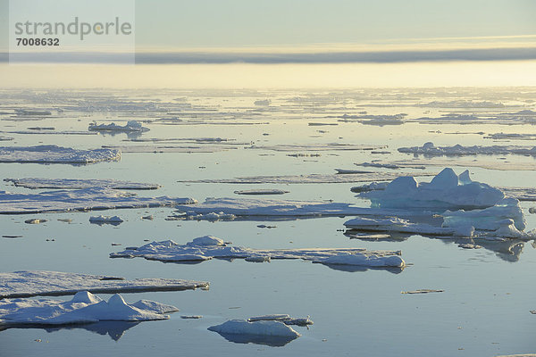 Eisscholle  Grönland  Arktis  Nordpolarmeer  Nördliches Eismeer  Arktik  Arktischer Ozean