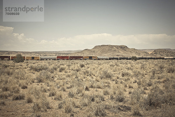 Vereinigte Staaten von Amerika  USA  Güterzug  New Mexico  Route 66