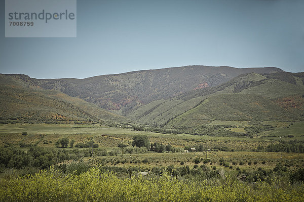 Vereinigte Staaten von Amerika  USA  Landschaftlich schön  landschaftlich reizvoll  Berg  Feld  Ansicht  Colorado