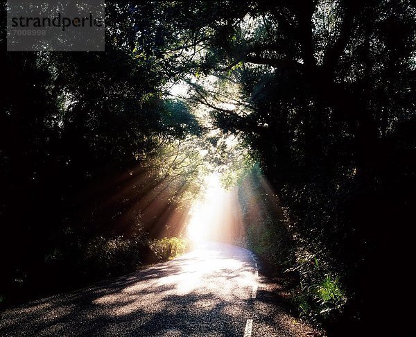 Landstraße Irland Kenmare