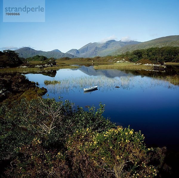 Killarney Nationalpark  Irland