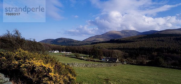 Irland Bergbauernhof