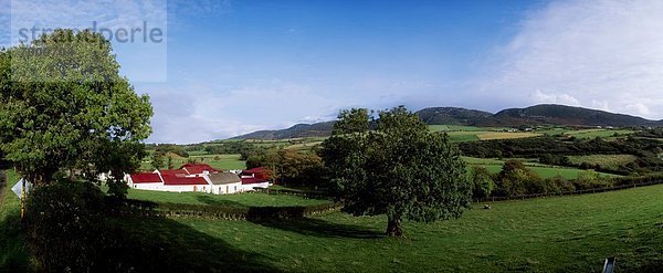 Weide Weideland Fanad Head Irland