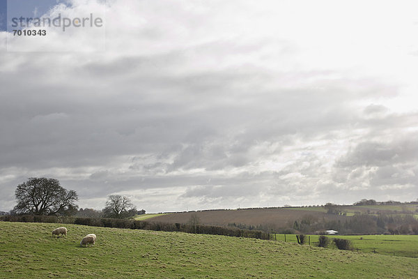 England  Lincolnshire