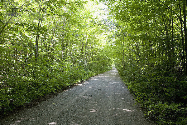 Landstraße  Ontario