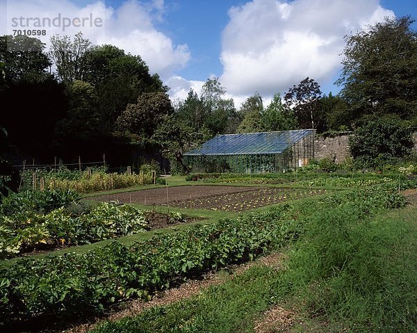 Wand  Gemüse  Bett  Garten  Irland