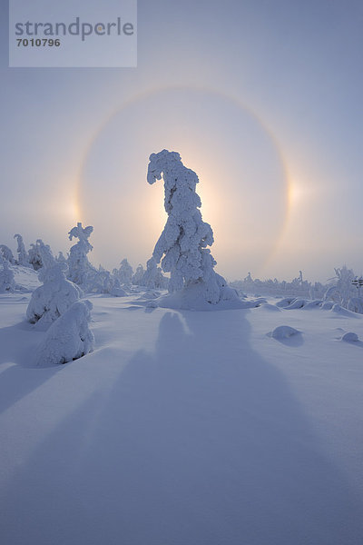 Fichtelberg  Deutschland  Sachsen