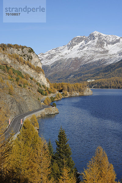 Fernverkehrsstraße  See  Herbst  vorwärts  Kanton Graubünden  Sankt Moritz  St. Moritz  Engadin  Schweiz