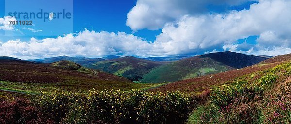 Landstraße  Irland