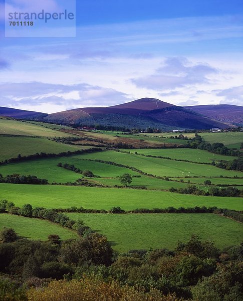 Berg  Brotlaib  Feld  Zucker  Irland